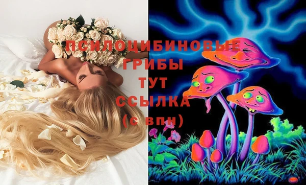 соль ск Алексеевка