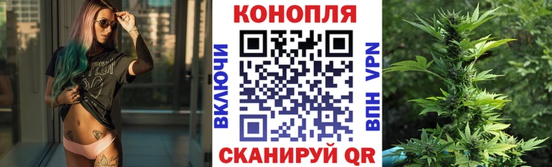 Конопля индика  как найти   Берёзовский 